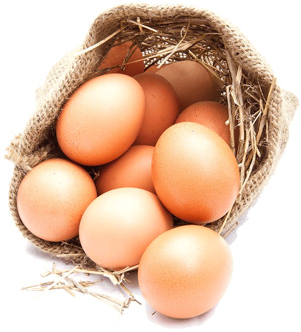 egg-pngfuel