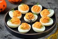 araignees-rounded-eggs